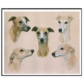 Diamond Painting - Broderie Diamant - 5 whippets