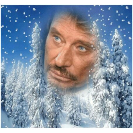 Diamond Painting - Broderie Diamant Johnny Hallyday Série A