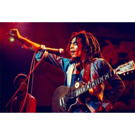 Diamond Painting - Broderie Diamant - Bob Marley En Concert